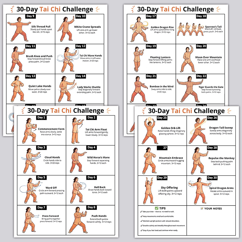 4 adet 30 Günlük Tai Chi Egzer - Home Gym Routine incelemesi ve fiyatı