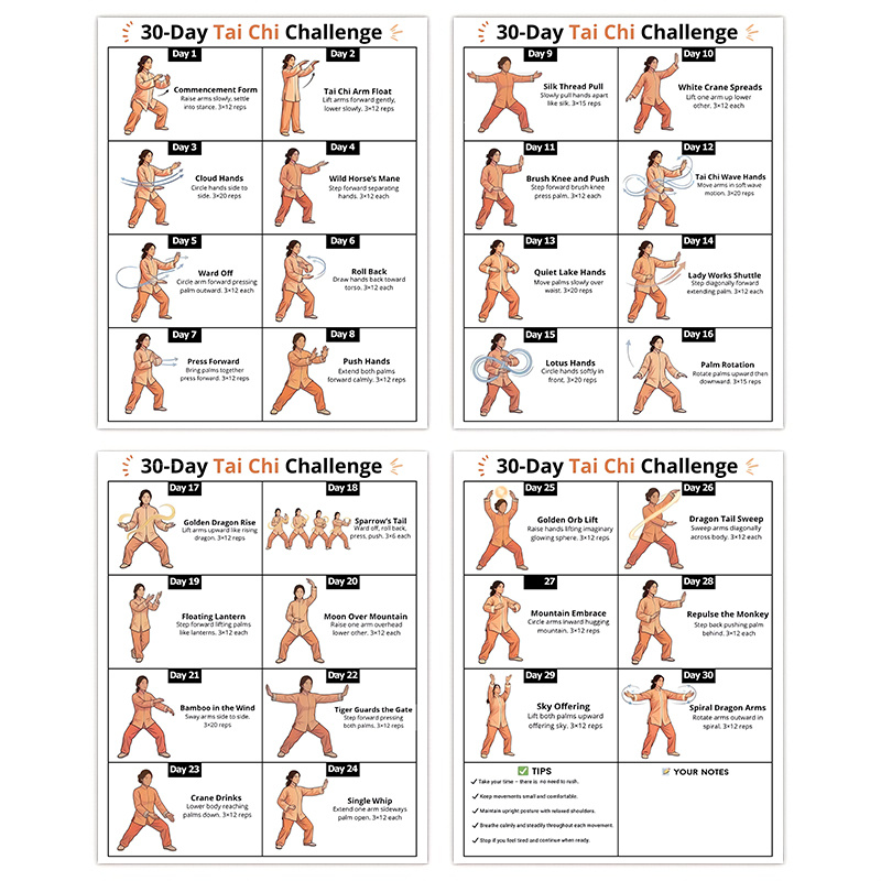 4 adet 30 Günlük Tai Chi Egzer - Home Gym Routine incelemesi ve fiyatı